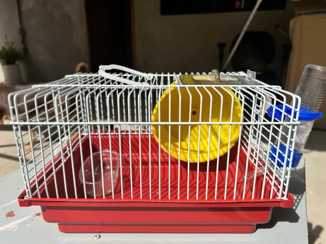Vendo casa de hamster
