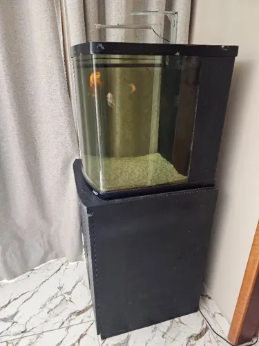 Aquário lindo com Armário Multifuncional