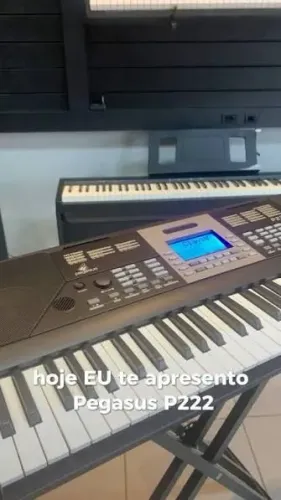 Teclado Pegasus P222 ritmos brasileiros forró xote guarânia bolero é muitos mais