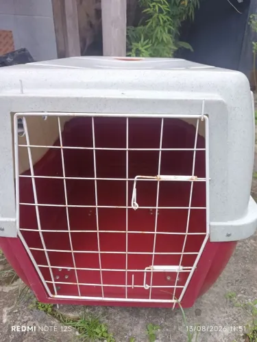Caixa de transporte de animais
