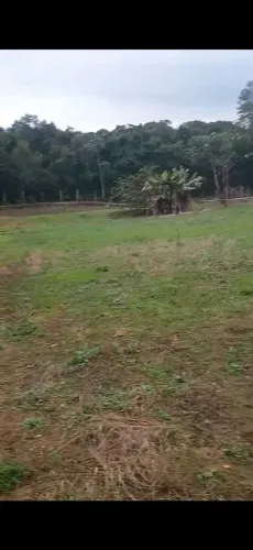venda pego carro até 30 mil