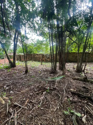 Terreno em mosqueiro Carananduba