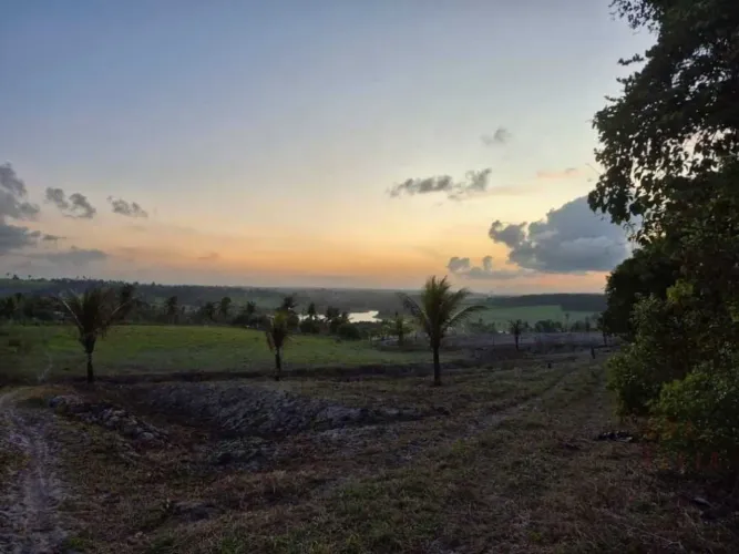 SITIO A VENDA EM MATA REDONDA/ALHANDRA