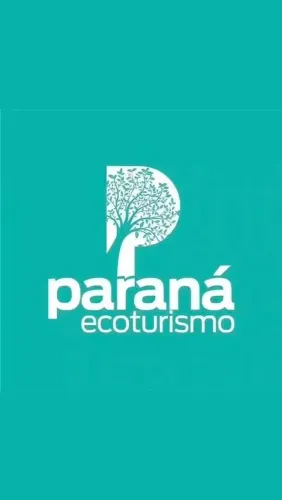 Marketing/webdesign