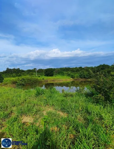Terra à Venda em Minaçu - GO | 13 Alqueires | Infraestrutura Completa