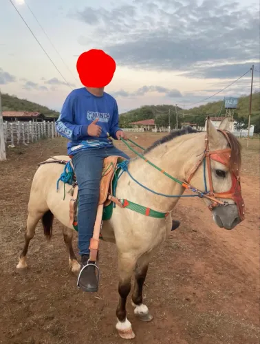 PIQUIRA A VENDA