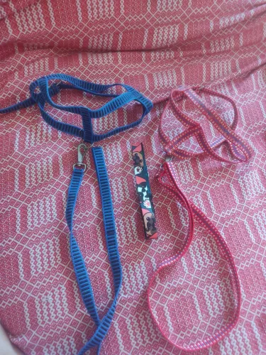 Vende-se acessórios para cachorro