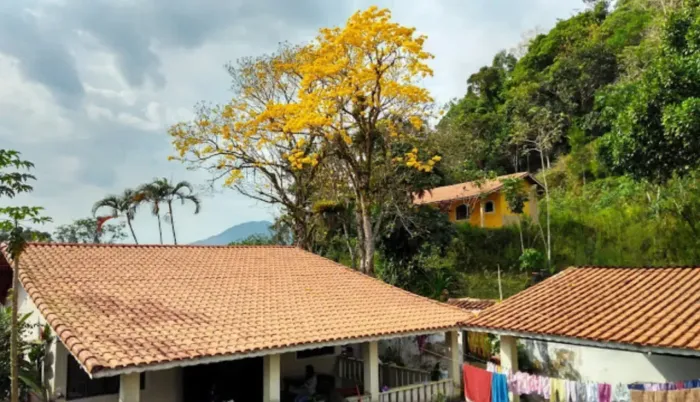 Fazenda/Sítio/Chácara para venda tem 1090 metros quadrados com 2 quartos
