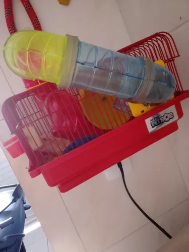 Hamster mais gaiola