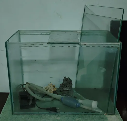 Aquário para peixes