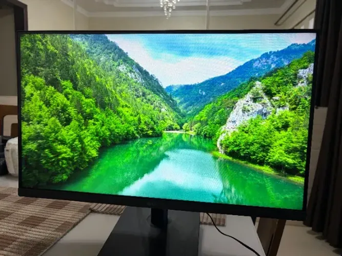 Monitor LG 24MS500-B 24 Polegadas IPS Full HD 100 Hz