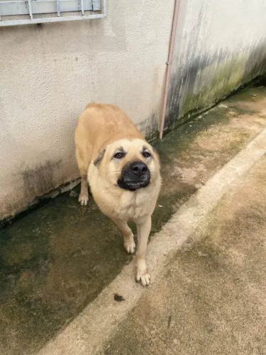 Doação