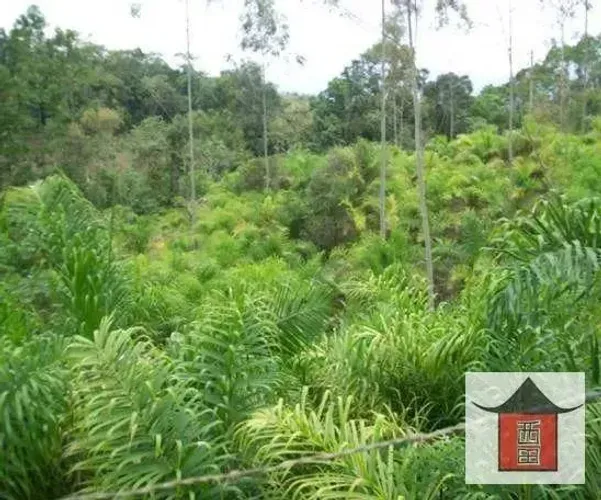 Área à venda, 300000 m² por R$ 450.000,00 - Vila Fritiano - Jacupiranga/SP