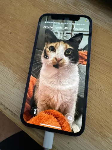 iPhone 12 mini 
