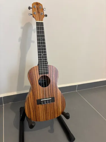 Ukulele Gianini acústico