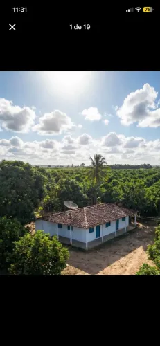 Sítio Produtivo (6 Tarefas) com Casa e Laranjal - Colônia 13, Lagarto/SE
