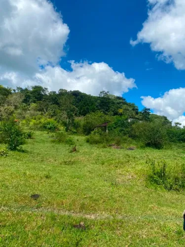 Fazenda em Joaquim Gomes - Valor negociável