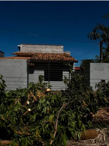 Grade de ferro