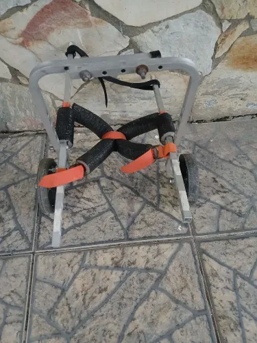 Cadeirinha de rodas para pet com deficiência 