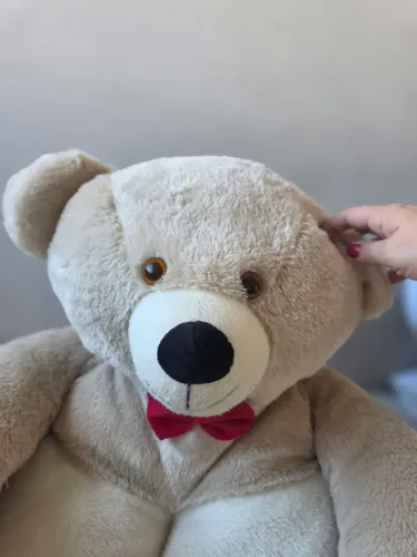 Caminha pet urso de pelúcia