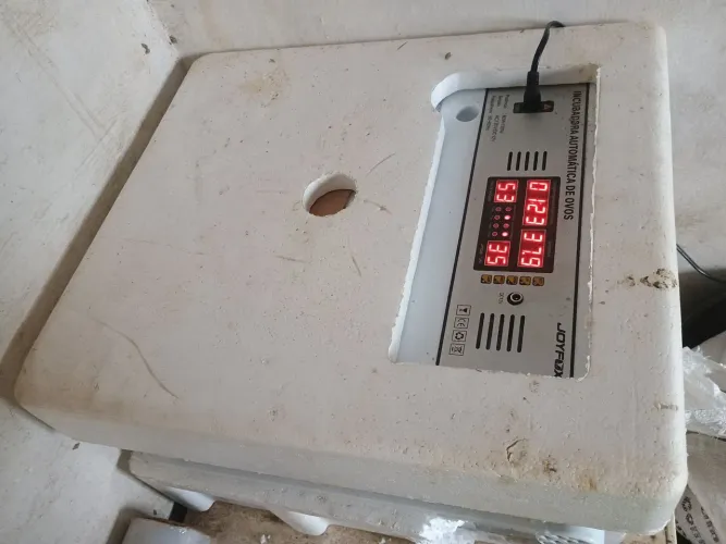 Vende-se chocadeira capacidade para 120 ovos valor 500