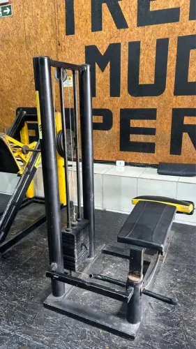 Mesa flexora
