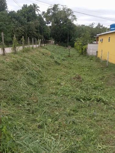 Vendo um terreno em Tingua