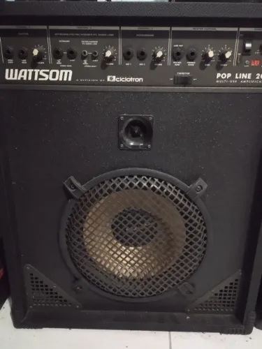 Caixa Acústica Multiuso Amplificada Wattsom