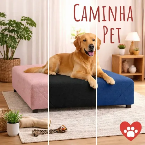Cama box pet
