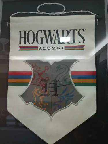 Vendo flamula original do Harry Potter direto de Londres
