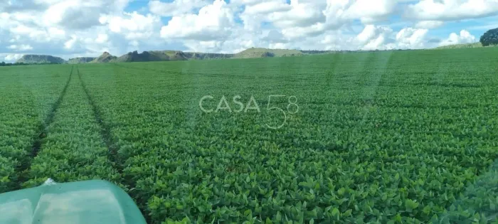 Fazenda à Venda em MineirosGO 126 Alqueires 335 ha em Lavoura Solo de Qualidade
