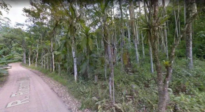 SÍTIO À VENDA EM POMERODE/SC. METRAGEM TOTAL DE 15.346,95 M², DEVIDAMENTE DESMEMBRADO E ES