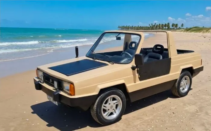 Volkswagen Buggy 1.6 8V Gasolina 2P Manual 1986