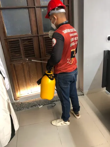 Dedetização em Manaus Baratas Ratos cupins 24 horas