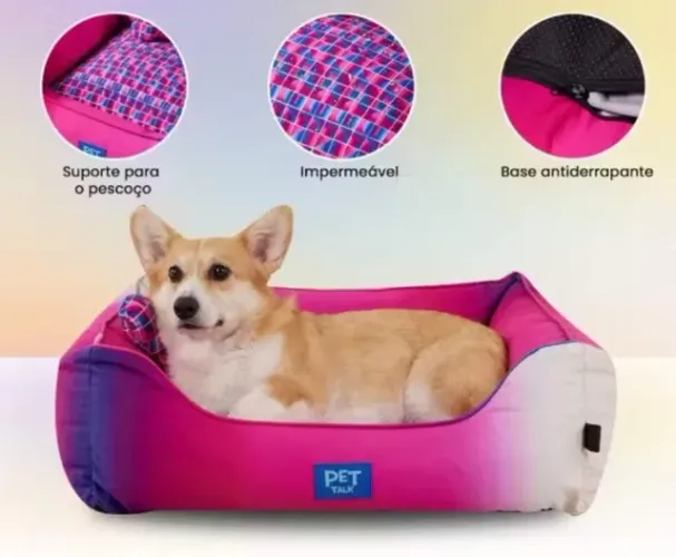 CAMINHA CACHORRO