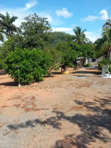 Esse valor é uma oportunidade única pra você finalmente comprar sua chácara !
