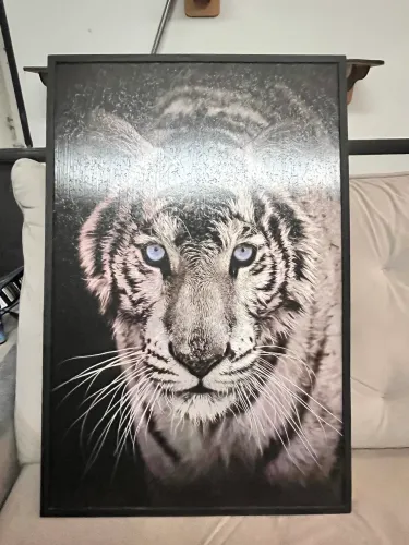 Quadro para decoração de tigre