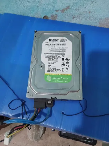 HD 500 gb Western