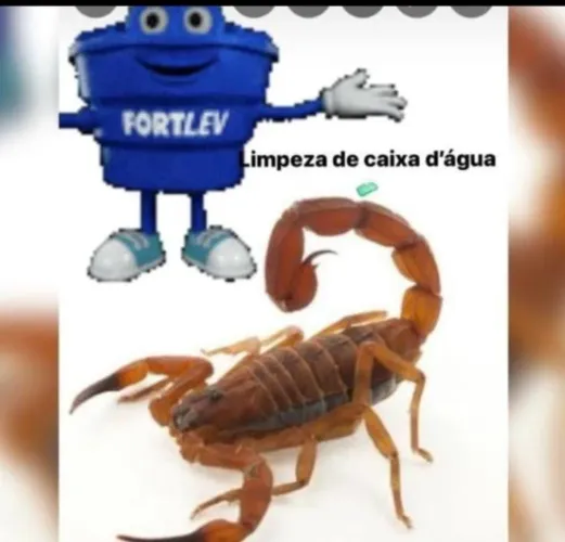 Dedetização e limpeza de caixa d água