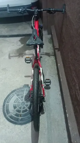 Bicicleta profissional