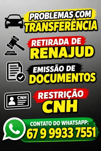 DESPACHANTE VEICULOS - URGENTE