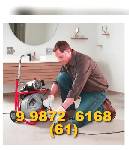 Desentupidora de Vaso sanitario, pia, ralo Felipe1