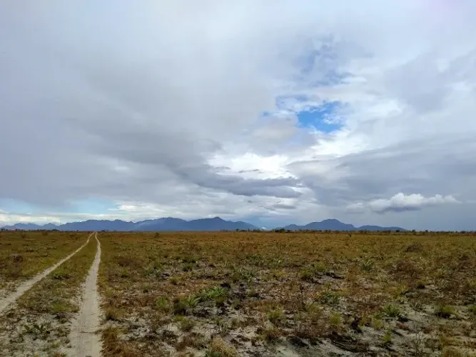Fazenda para soja