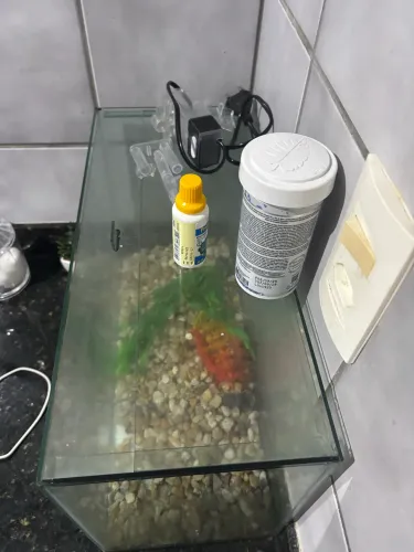 Aquário