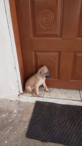 Doação