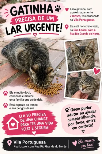 Doação