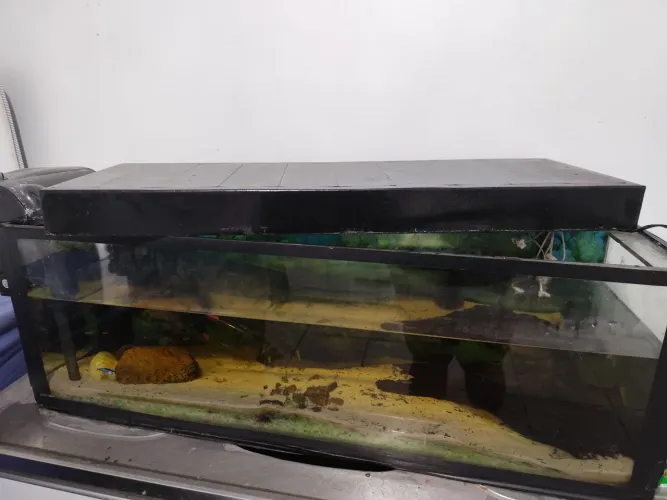 Aquário 100L