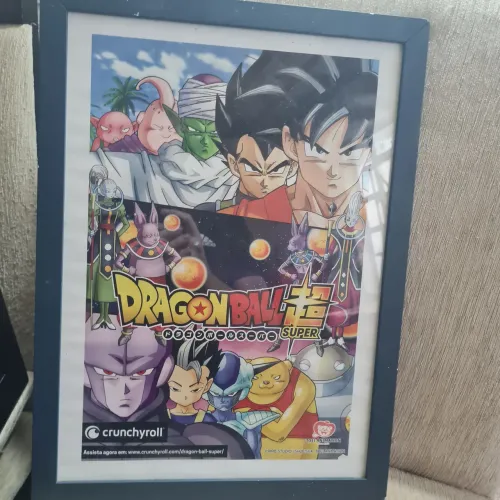 Quadro Dragon Ball Super
