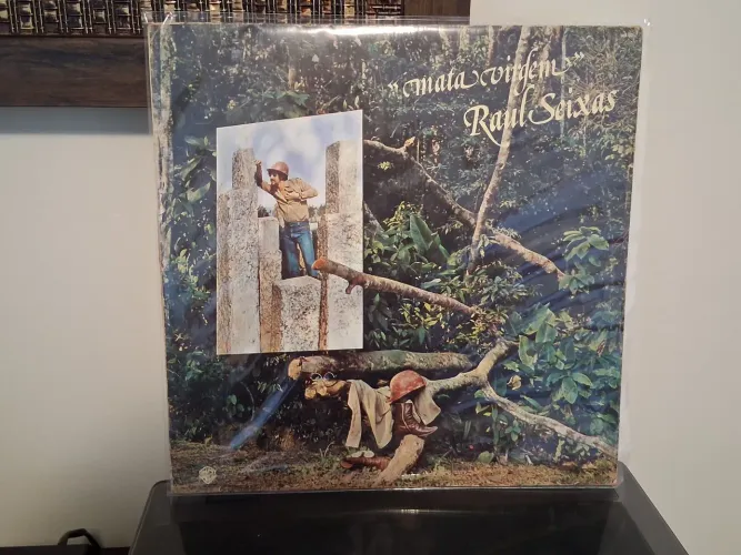 Lp disco de vinil de Raul Seixas