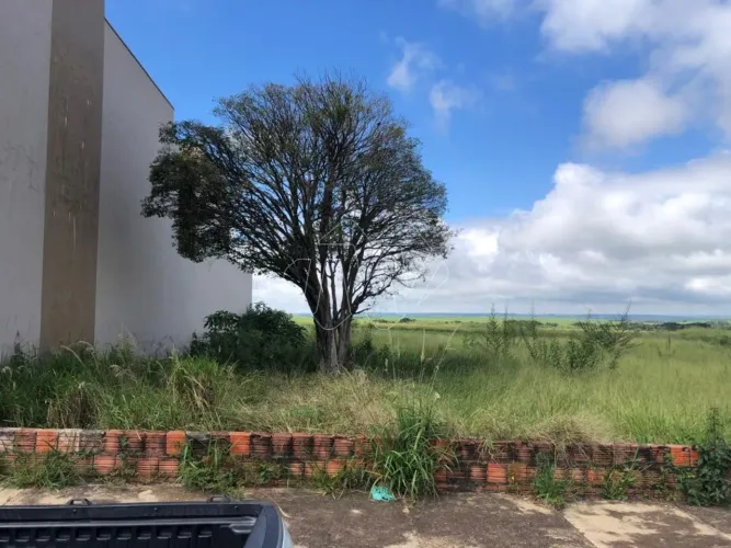 Venda de Terreno / Padrão na cidade de Ibaté